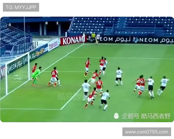 广州排球队的崛起之路联合会杯特别报道见证成长与荣耀