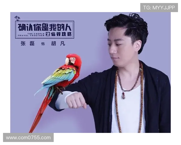 张磊的滑板人生：从初学者到职业选手的心路历程与成长故事