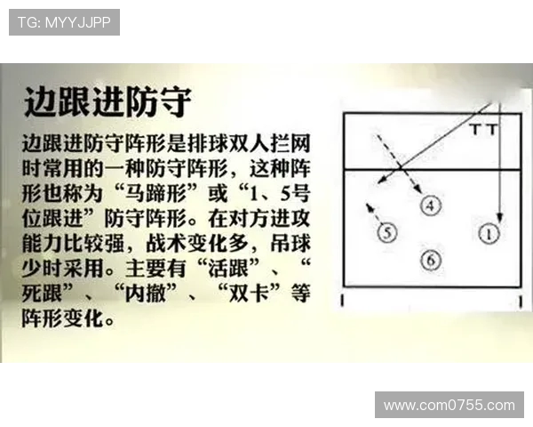 成都排球队防守表现分析与改进建议探讨 成都排球队防守表现分析与改进建议探讨