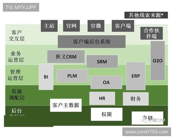 探索上海篮球队的运营模式与发展策略解析