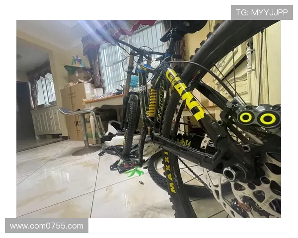 武汉极限运动队与重庆极限运动队赛后实力对比分析与总结