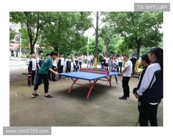 深圳乒乓球队在阵地战中的表现分析与未来发展展望 深圳乒乓球队在阵地战中的表现分析与未来发展展望