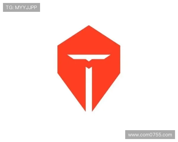 王者荣耀深度解析：TES战队配合技巧与战术的全面探讨