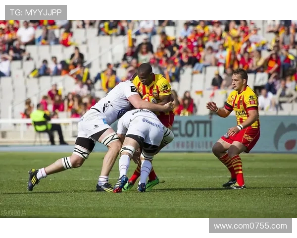 比利时与捷克足球赛精彩直播全程回顾与分析