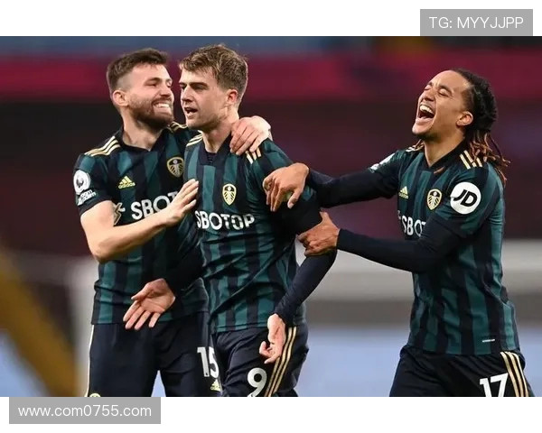 汉堡队与维踢球者的激烈对决揭示足球战术与团队合作的重要性