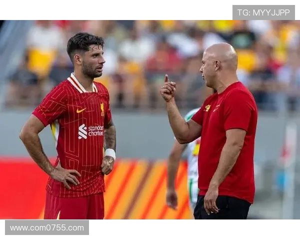 索博斯洛伊的历史与文化探秘：一段跨越时空的传奇旅程