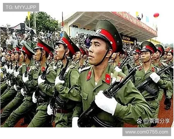 越南与朝鲜军事实力对比分析及其潜在影响探讨