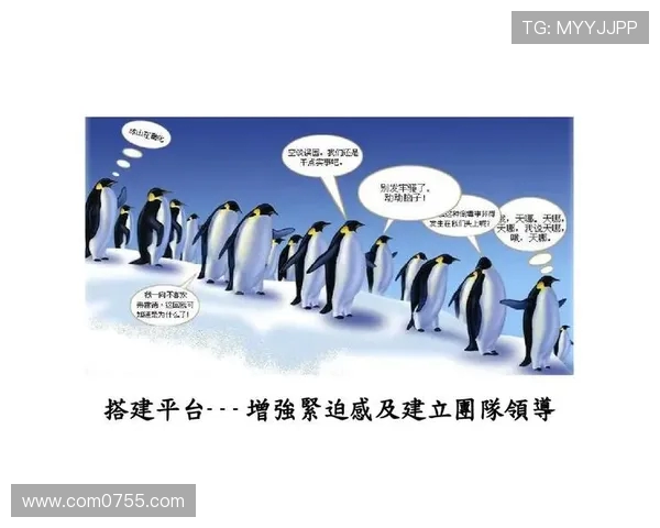 陈静深度解析篮球技巧与心得分享助你提升球技的必备指南