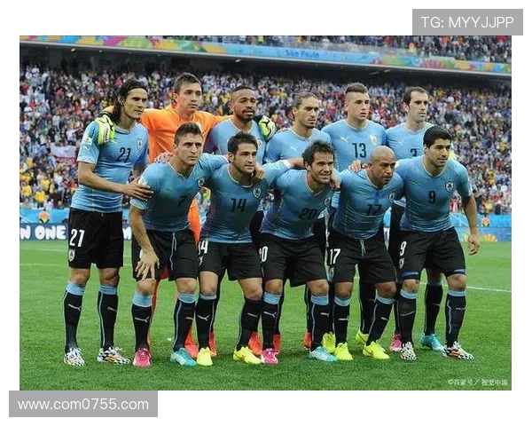 马来西亚与斐济的足球对决展现两国体育文化的碰撞与交流