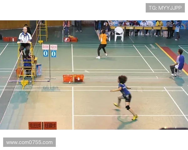 赛后分析:北京羽毛球队与深圳羽毛球队在战术灵活性上的较量与启示