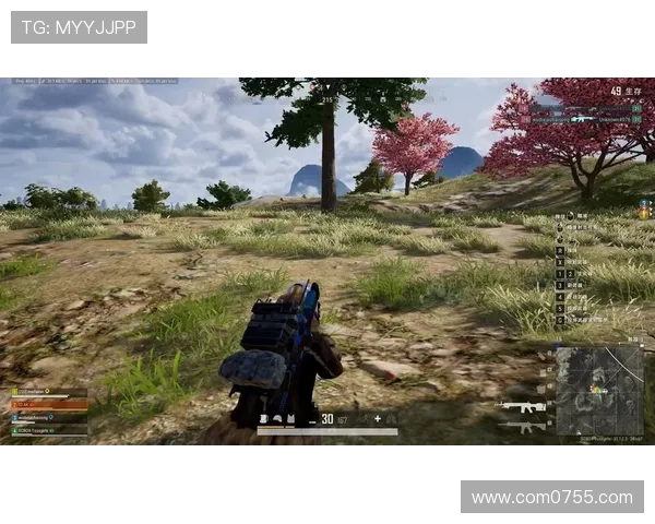 杨丽专访：从新手到高手的和平精英成长之路回顾与展望