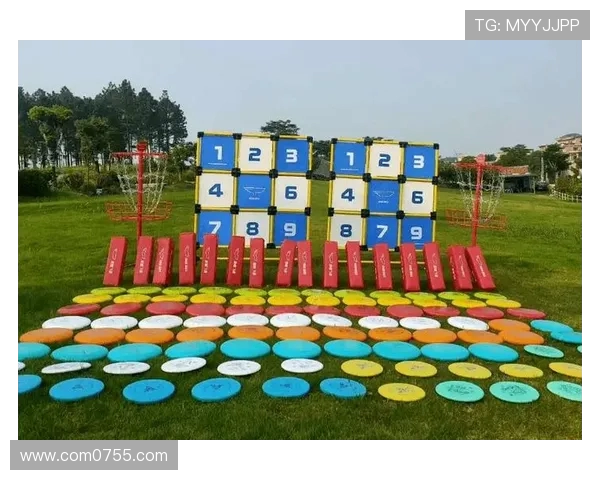 极限运动嘉年华精彩回顾上海飞盘队展现力量与团队精神